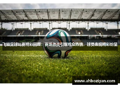 飞猫足球比赛精彩回顾：赛场激战引爆观众热情，球员表现精彩纷呈